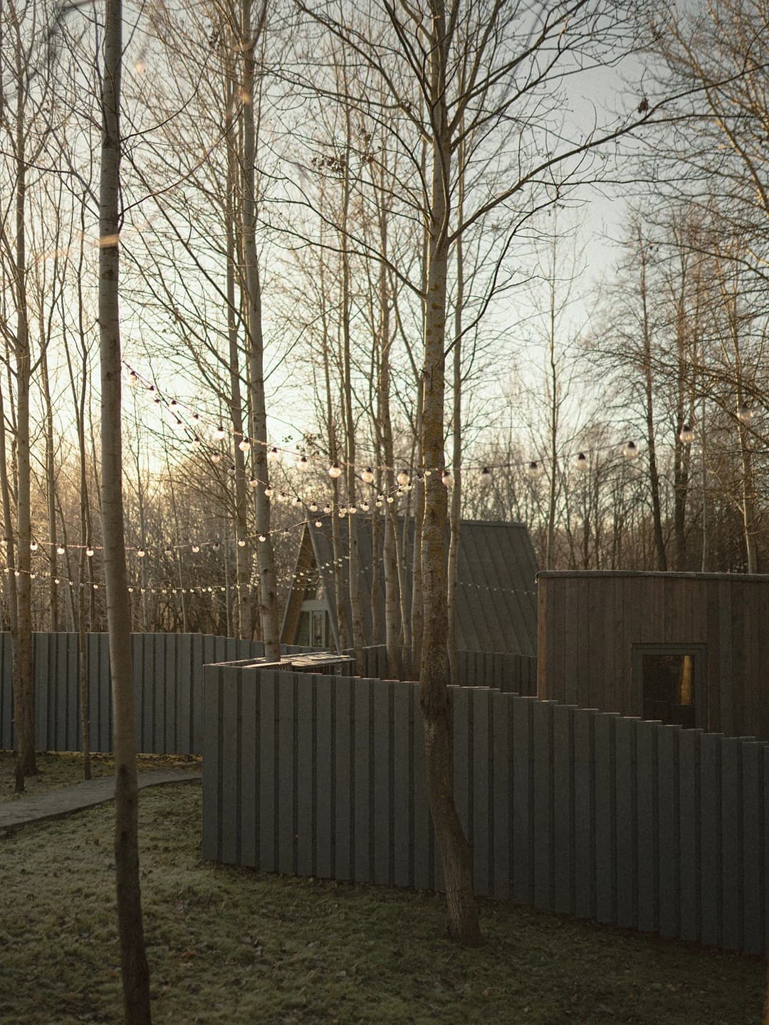 Дом Scandi House в смешанном лесу